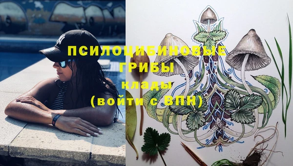 метадон Инта