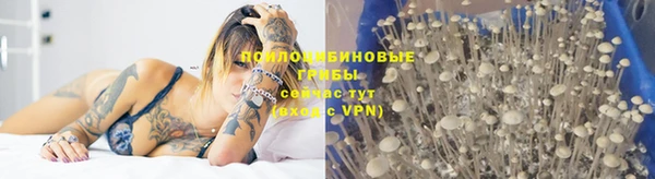 ECSTASY Иннополис