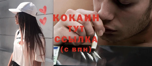 метадон Инта