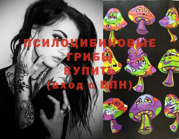 метадон Инта