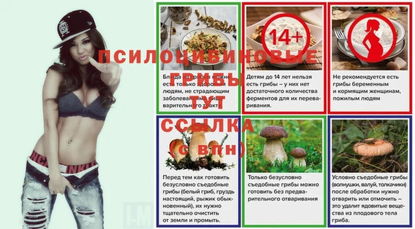 метадон Инта