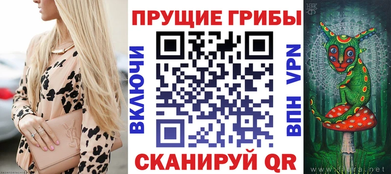 Псилоцибиновые грибы GOLDEN TEACHER  Купить где  Щёкино 